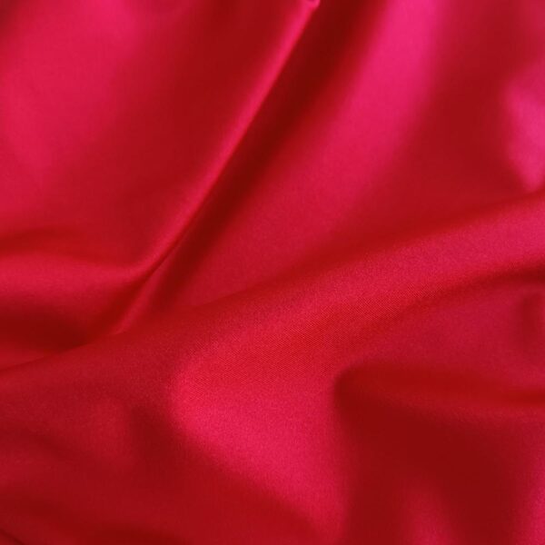 Vestido Largo Algarve Rojo Lycra Dupont Maria Paskaro - Imagen 5