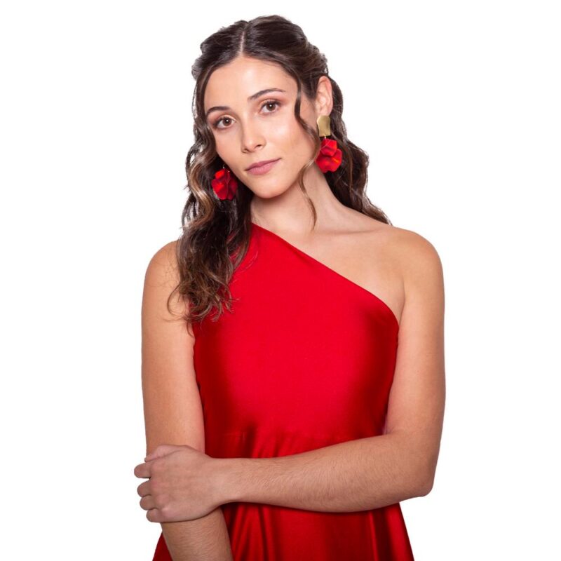 Aros Palena Rojo María Paskaro