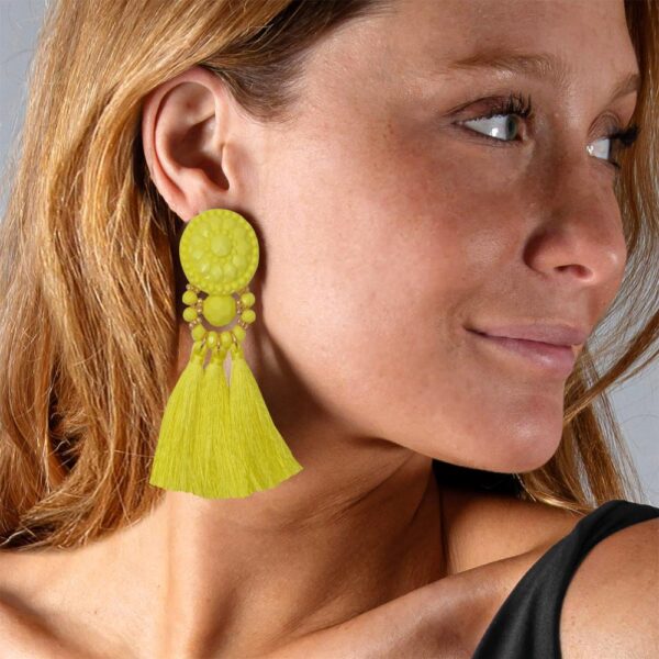 Aros Amazonas Amarillo Fleco Maria Paskaro